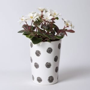 Biała szklana doniczka z groszkiem