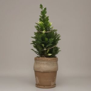 Choinka stożkowa w doniczce z girlandą