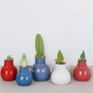 Amarylis w mieszance woskowej