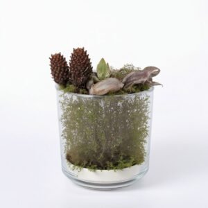 Kompozycja z amarylisem i mchem