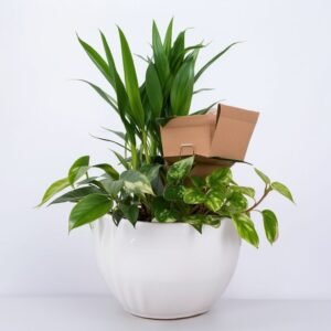 Sadzenie roślin w doniczkach "Naturalna Harmonia"