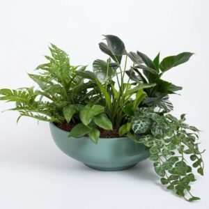 Sadzenie roślin w doniczkach "Medytacja Kwiatowa"