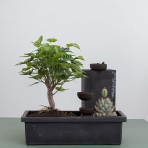 Bonsai w doniczce z wodospadem