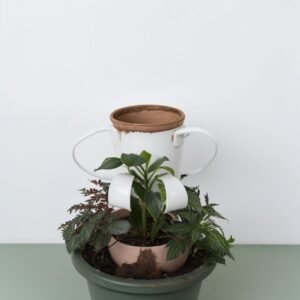 Kompozycja do terrarium "Zielona Oaza"