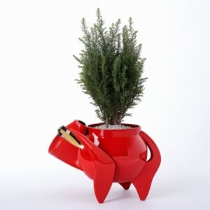 Doniczka Buffalo z cyprysem