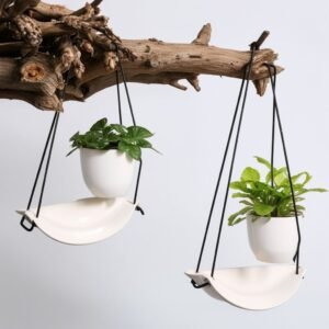 Mieszanka roślin w doniczkach