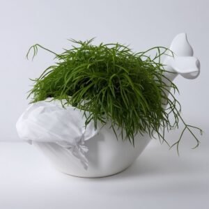 Doniczka Wieloryb biały