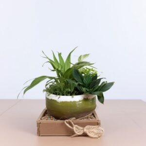 Sadzenie w szklanym i drewnianym wazonie