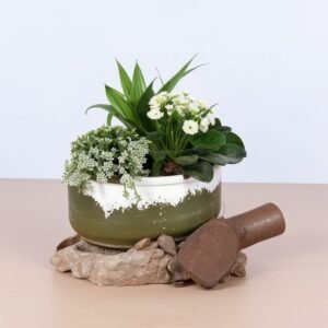 Sadzenie w szklanym i drewnianym wazonie