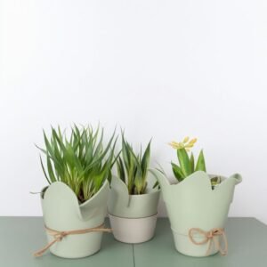 Wiosenne kwiaty w doniczce