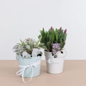 Kompozycja lawendy i ziół korzennych