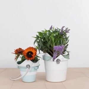 Kompozycja z bratków i lawendy