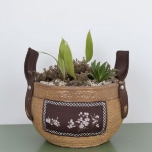 Słoneczny żonkil w koszyku