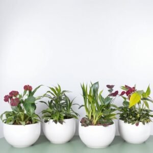 Kompozycja w doniczce "Wiosenny urok"