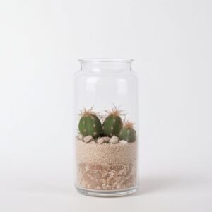 Kompozycja w wazonie z kaktusem