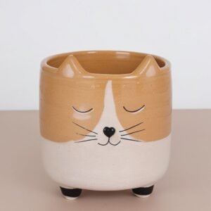 Doniczka dla kota z uszami