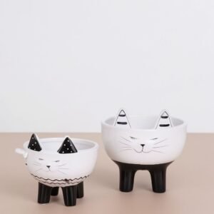 Ficus Be Natasja w doniczce