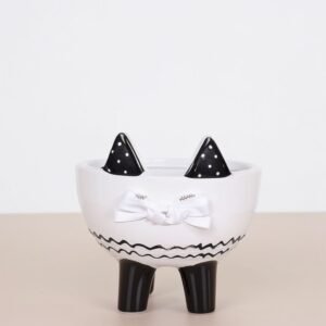 Ficus Kinki w doniczce