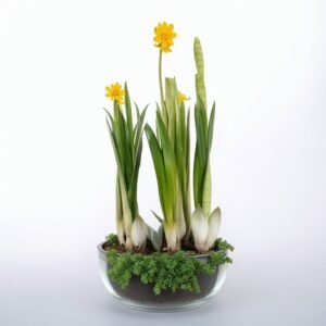 Narcyz w kuli wazonowej