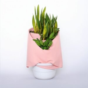 Kwiaty sezonowe w kopercie