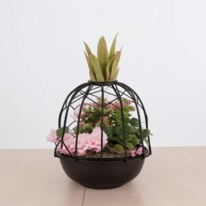 Kompozycja z roślinami "Ananas"