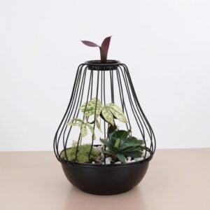 Kompozycja z roślinami "Gruszka"