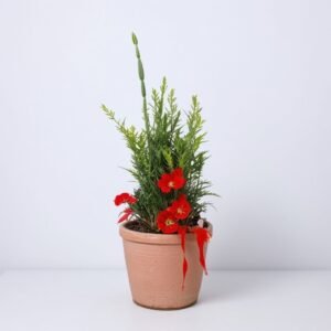 Kompozycja w koszyku "Jasna zima"