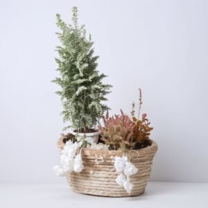 Kompozycja w koszyku "Zimowy urok"