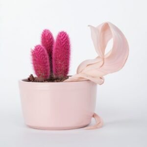 Różowa doniczka z żyrafą