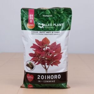 Podłoże dla storczyków