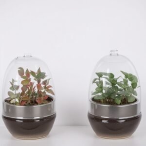 Jajko do terrarium małe