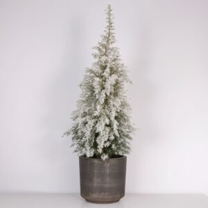 Choinka pokryta śniegiem w doniczce