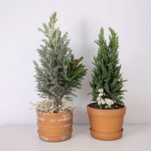 Zimowa kompozycja „Magiczny Las”