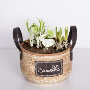 Wiosenna kompozycja w koszyku