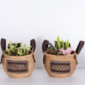 Kwiaty cebulowe w koszyku