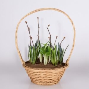 Kwiaty w koszyku "Leśna polana"