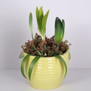 Kwiaty sezonowe w doniczkach