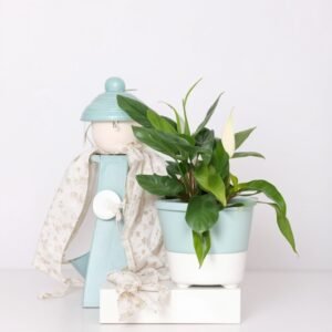 Lalka wewnętrzna z rośliną skrzydłokwiat