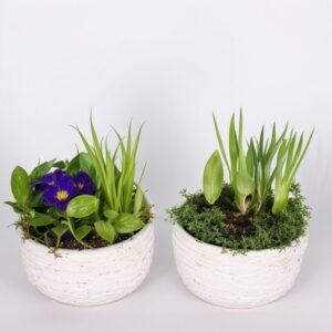 Koszyk "Wiosenne Przebudzenie"