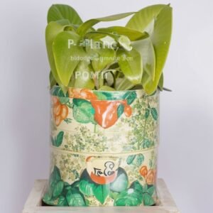 Podłoże torfowe "Cytrus"